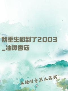 我重生回到了2003