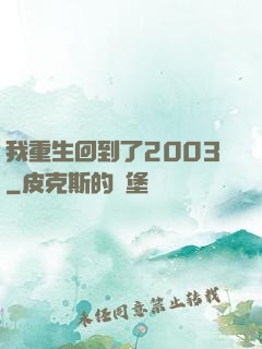 我重生回到了2003