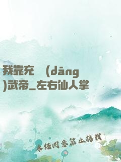 我靠充錢當(dāng)武帝
