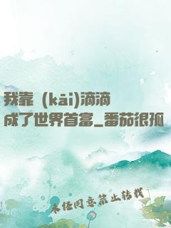 我靠開(kāi)滴滴成了世界首富