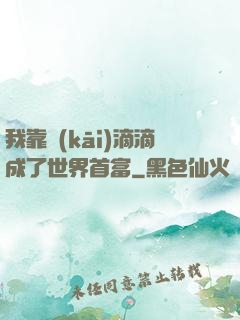 我靠開(kāi)滴滴成了世界首富
