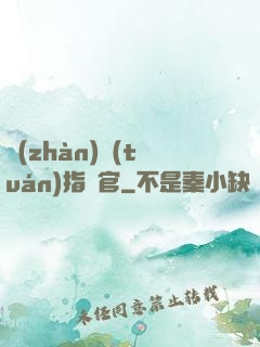 戰(zhàn)團(tuán)指揮官