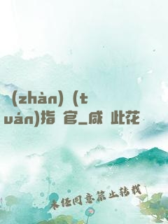 戰(zhàn)團(tuán)指揮官