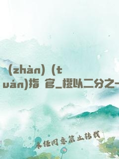 戰(zhàn)團(tuán)指揮官