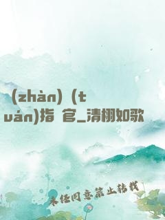 戰(zhàn)團(tuán)指揮官