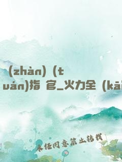 戰(zhàn)團(tuán)指揮官