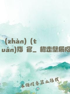 戰(zhàn)團(tuán)指揮官