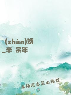 戰(zhàn)婿無雙
