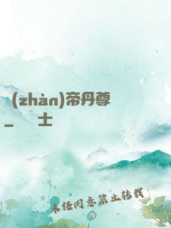 戰(zhàn)帝丹尊