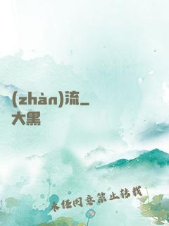 戰(zhàn)流