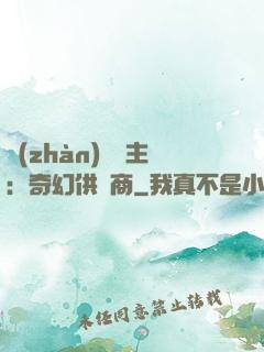 戰(zhàn)爭領主：奇幻供應商