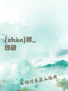戰(zhàn)狼