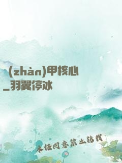 戰(zhàn)甲核心