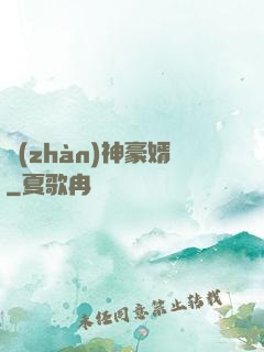 戰(zhàn)神豪婿