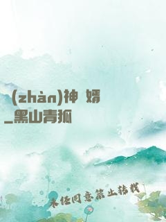 戰(zhàn)神龍婿
