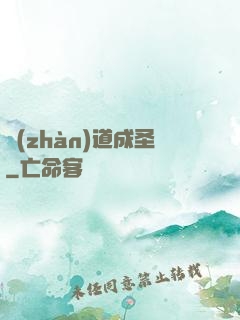 戰(zhàn)道成圣