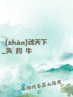 戰(zhàn)魂天下