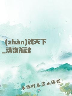 戰(zhàn)魂天下