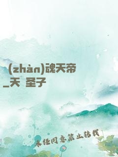 戰(zhàn)魂天帝