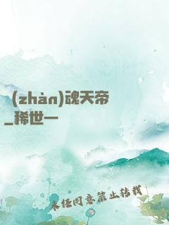 戰(zhàn)魂天帝