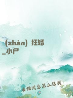 戰(zhàn)龍狂婿