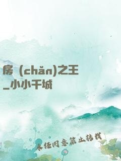 房產(chǎn)之王