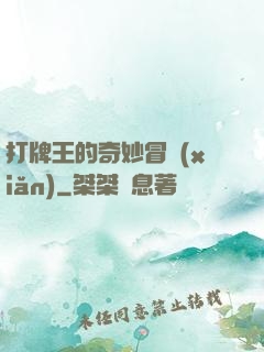 打牌王的奇妙冒險(xiǎn)
