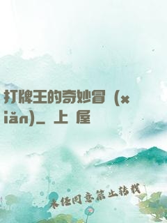 打牌王的奇妙冒險(xiǎn)