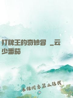 打牌王的奇妙冒險