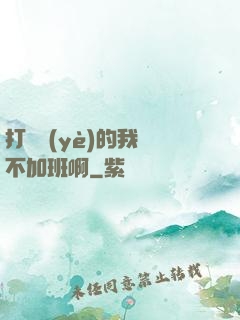 打職業(yè)的我絕不加班啊