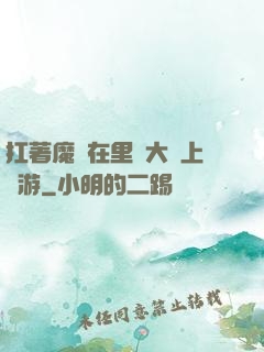 扛著魔劍在里諾大陸上閑游