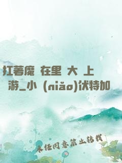 扛著魔劍在里諾大陸上閑游