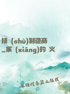 技術(shù)制造商