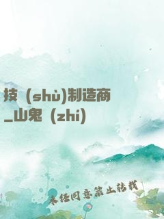 技術(shù)制造商