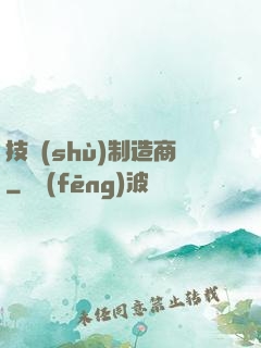 技術(shù)制造商