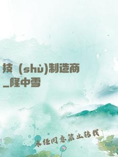 技術(shù)制造商