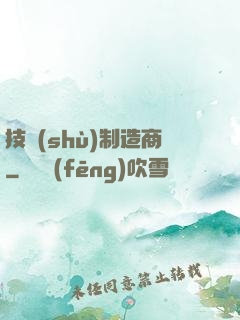 技術(shù)制造商