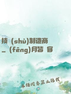技術(shù)制造商