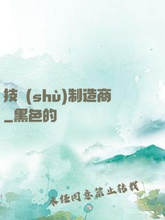 技術(shù)制造商