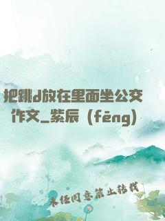 把跳d放在里面坐公交車作文