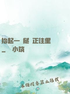 抬起一條腿對正往里懟