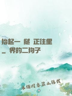 抬起一條腿對正往里懟