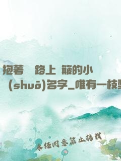 抱著媽媽路上顛簸的小說(shuō)名字