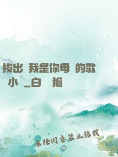 拔出來我是你母親的歌詞小說