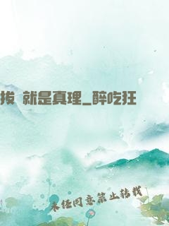 拔劍就是真理