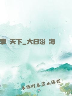 拳傾天下