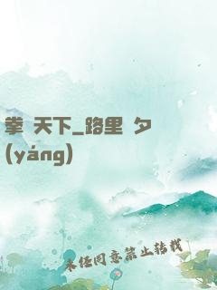 拳傾天下
