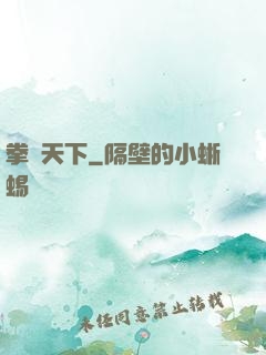 拳傾天下