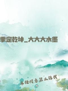拳定乾坤