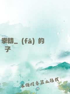 拳精